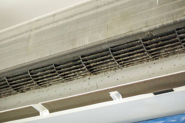 Best Dryer Vent Cleaning Services  in Five Points, OH